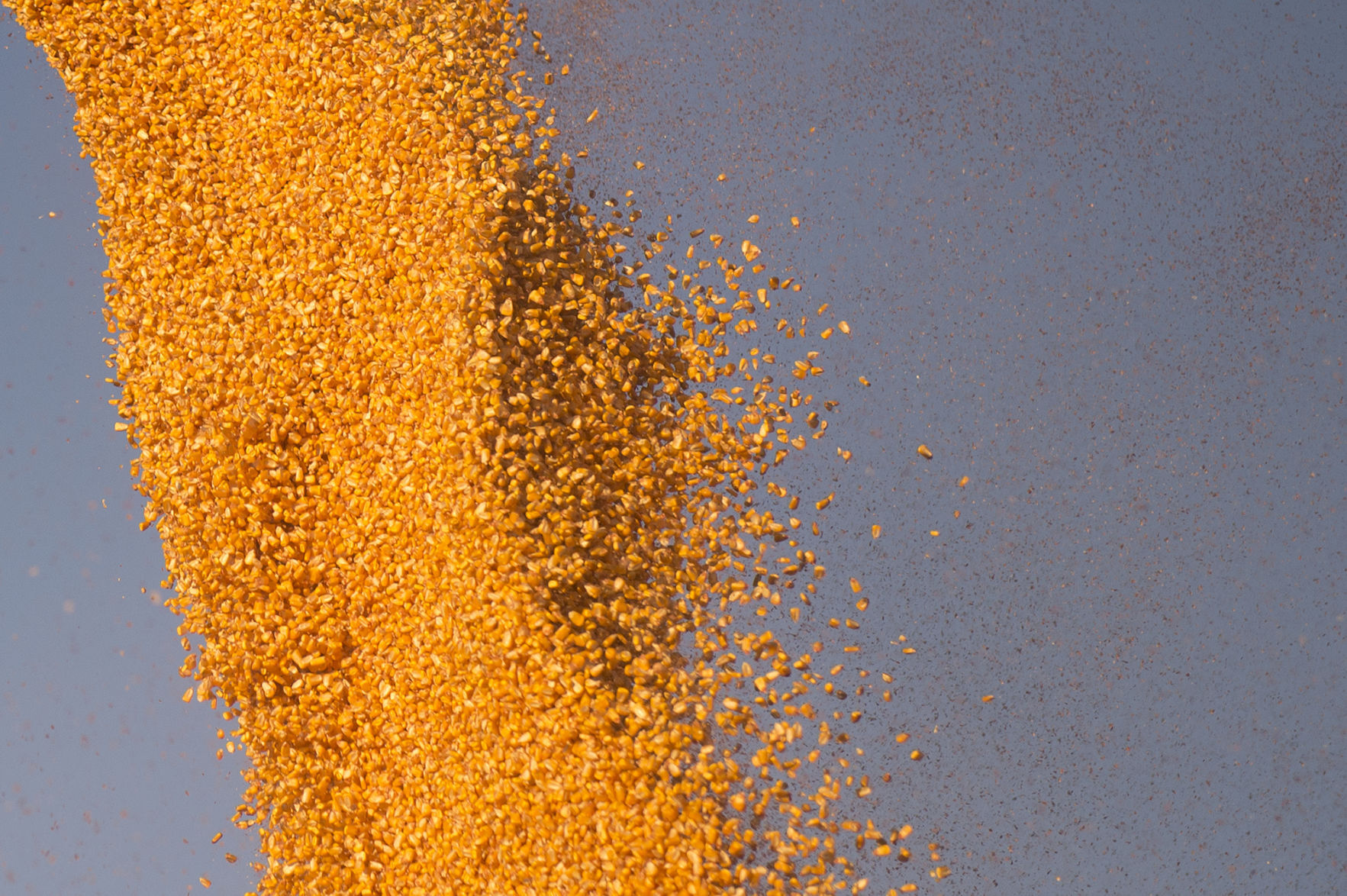 Harvest time